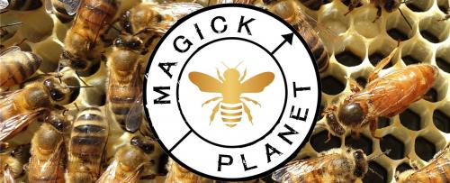 Picture1Magick Planet - Wimkin