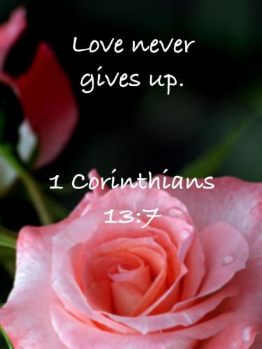 08:47:14 GMT-0500 (EST)