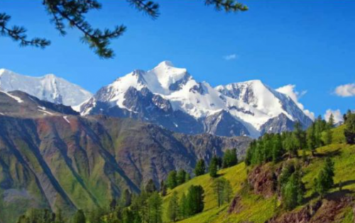 Screenshot 2021-02-02 at 9.00.28 AM