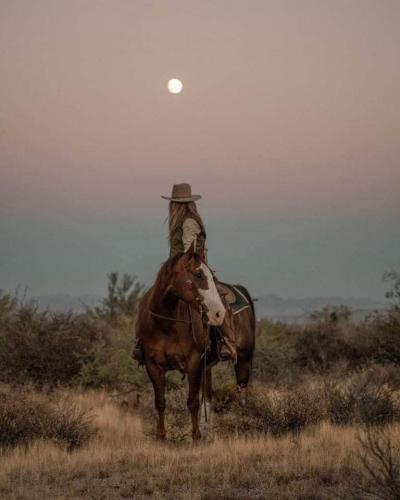 149581619_1272008396518125_825224383627563728_n