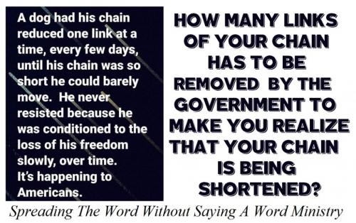 147877601_245490050482684_6108297277584213812_n