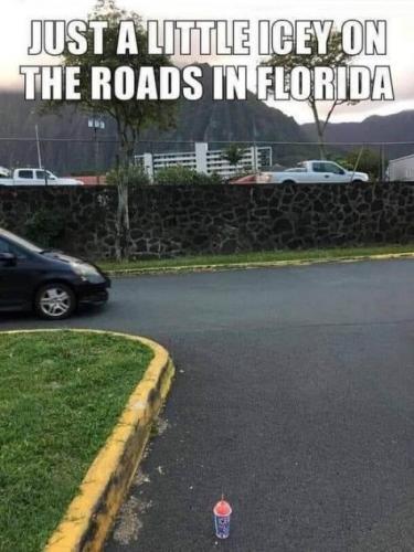 forida11