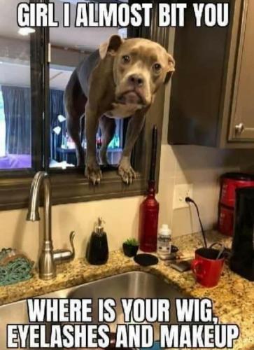 03:10:56 GMT-0500 (EST)