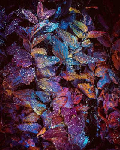 tumblr_376c06952d9371ff76bea585d7ed8826_1666ecf3_540