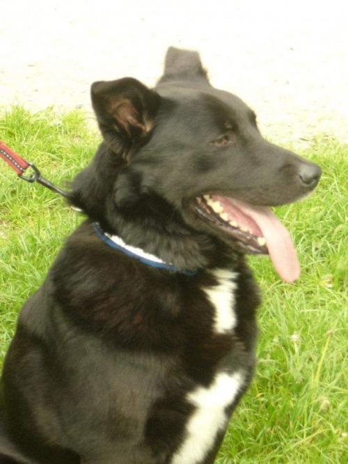 12:10:31 GMT-0600 (CST)