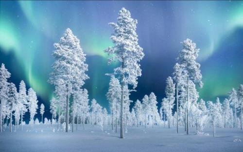 21:08:01 GMT-0600 (CST)