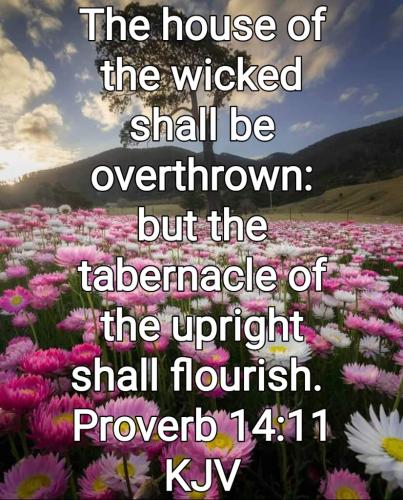 05:14:34 GMT-0800 (PST)