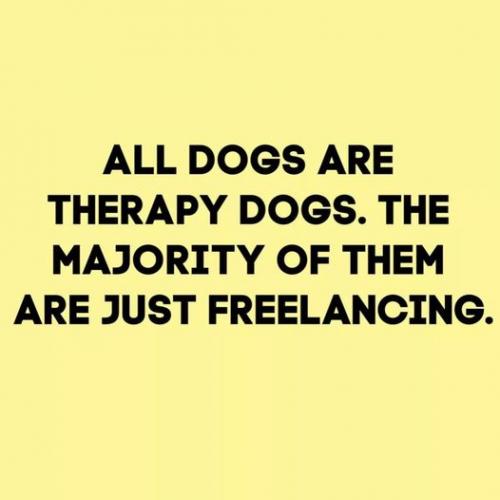 DOGS FREE