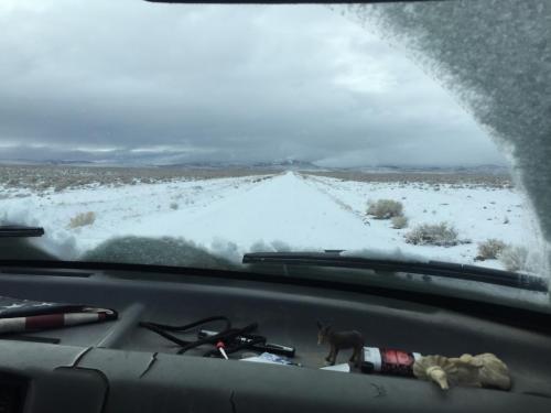 19:48:17 GMT-0800 (PST).image