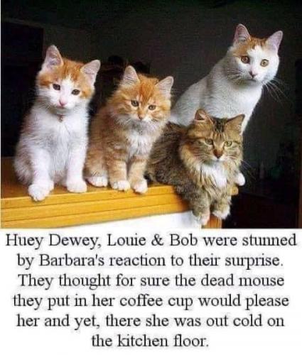 18:36:51 GMT-0800 (PST).image