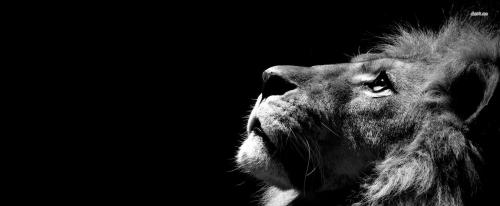 09:45:46 GMT-0600 (CST).image