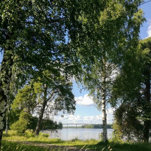 10:25:51 GMT+0000 (GMT)