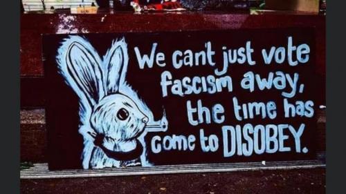 119936919_471208277170088_2024861676307181338_n