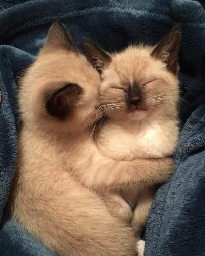 19:15:43 GMT-0600 (CST)