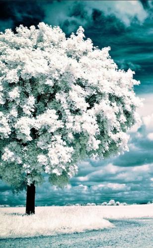 22:52:39 GMT-0600 (CST)