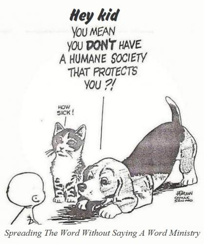 151668197_3919197168139000_5512701043787879206_n