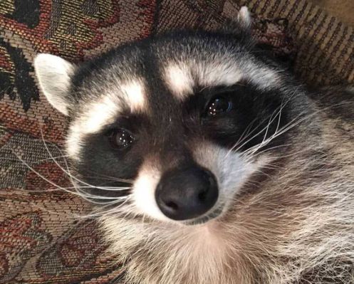 71A33D98-B0C7-43B2-A2F8-B958CF02B260