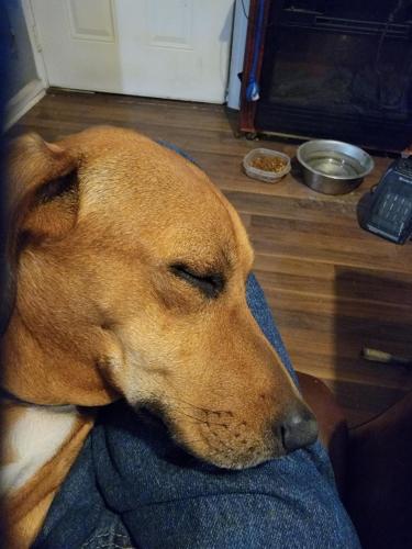 18:50:22 GMT-0600 (CST)