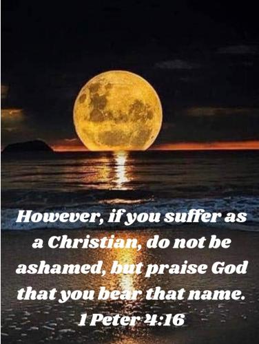 08:09:19 GMT-0600 (CST)