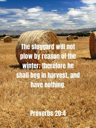 08:24:22 GMT-0500 (EST)