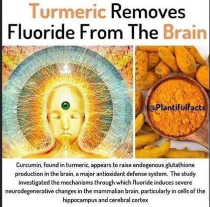 21:37:14 GMT-0600 (CST)