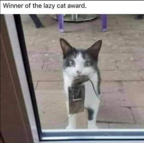 09:01:18 GMT-0500 (EST)