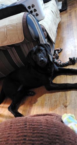 05:15:03 GMT-0800 (PST)