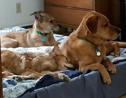 PicsArt_07-15-04.17.02