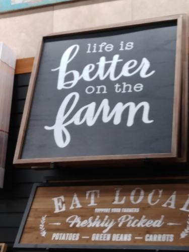 18:44:30 GMT-0600 (CST)