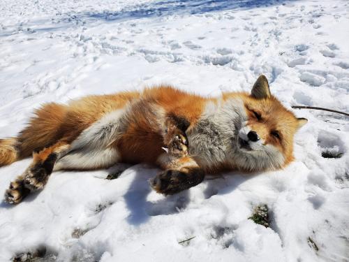 93419741_915802708867755_514821335881351168_o