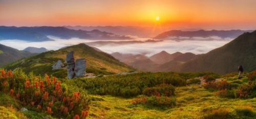 Screenshot 2021-02-16 at 6.02.30 PM