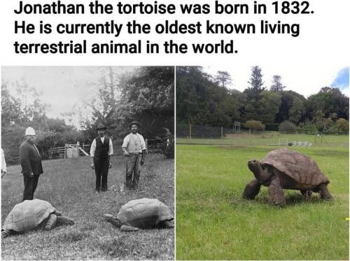 22:45:52 GMT-0500 (EST)