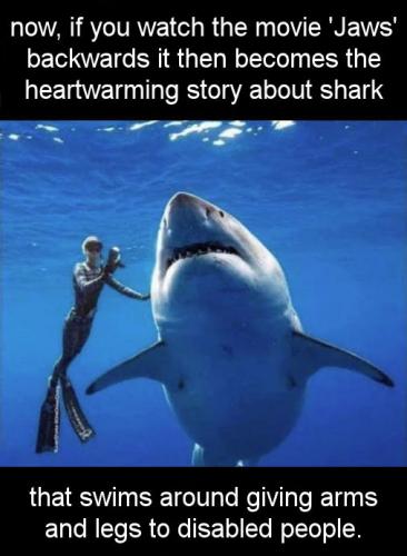 if you watch the movie jaws backwards