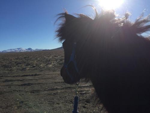 20:19:45 GMT-0800 (PST).image