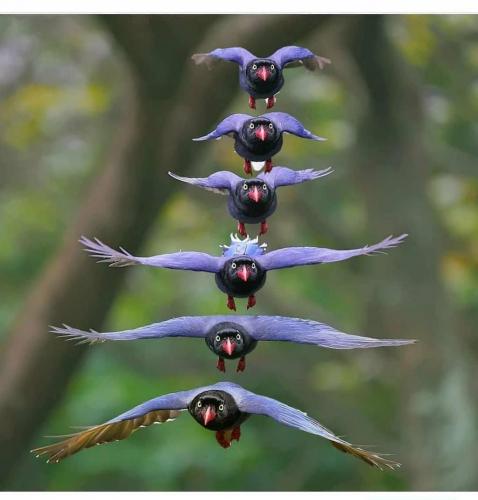 149433273_1796572607175610_5517732540081168653_o