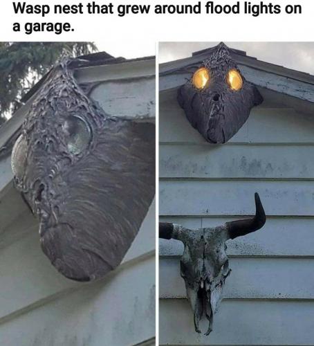 22:46:27 GMT-0500 (EST)