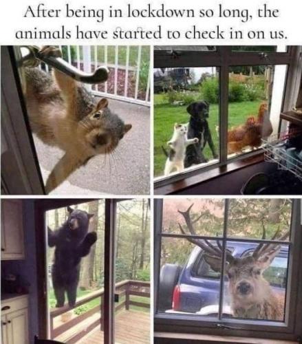 19:55:19 GMT-0600 (CST)