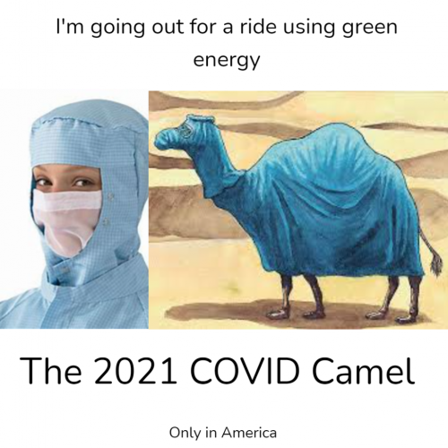 2021 COVID Camel