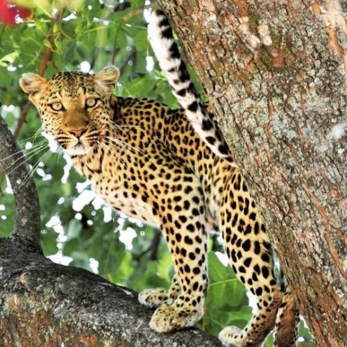 tumblr_5f1d01f64e8743137555ad327511f457_5765f2cc_540