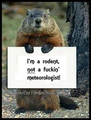 Groundhog