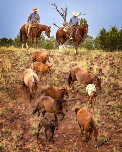 147774804_1270556149996683_5203138647675901525_n