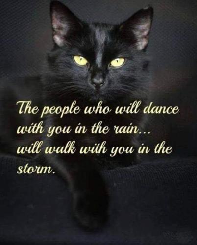 22:45:01 GMT-0600 (CST)