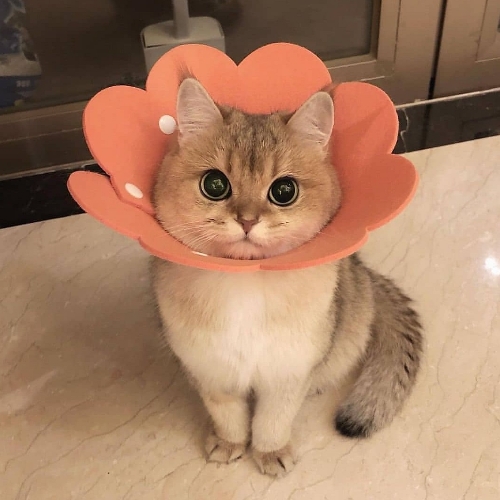 02:03:28 GMT+0100 (WAT)