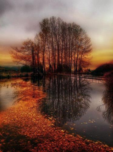 147998898_1511036769095668_2047997336105712304_n