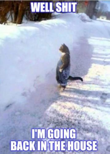 14:30:43 GMT-0600 (CST)