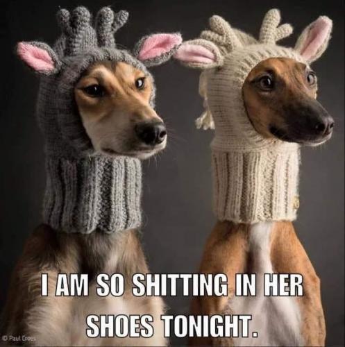 20:07:01 GMT-0800 (PST).image