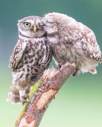 145864643_1790814627751408_2159861564013721288_o