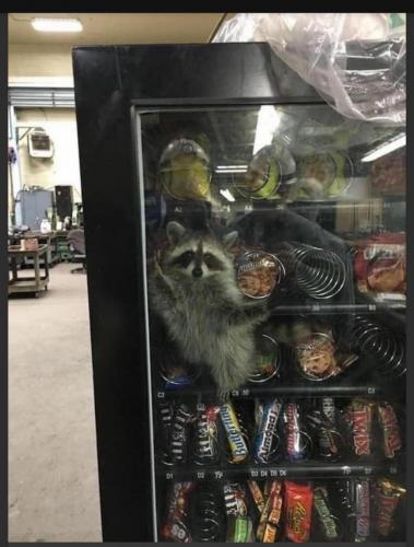 04:46:47 GMT-0800 (PST)