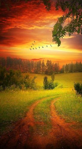 10:58:14 GMT-0600 (CST)