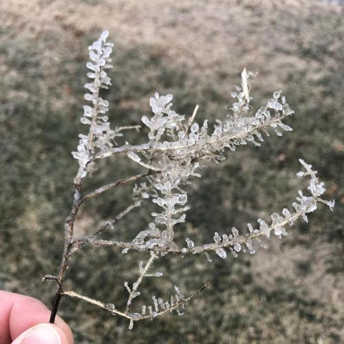 20:43:29 GMT-0600 (CST).image